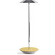 Royyo 17.4 inch 11.00 watt Chrome with Honeydew Felt Desk Lamp Portable Light